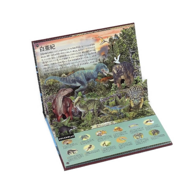 仕掛け絵本 19冊 学習 しかけ絵本 飛び出す絵本 保育園 幼稚園