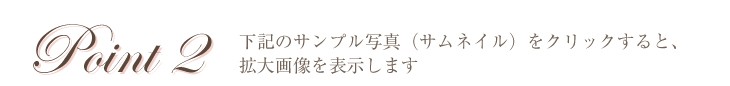 下記サンプル写真（サムネイル）をクリックすると、拡大画像を表示します